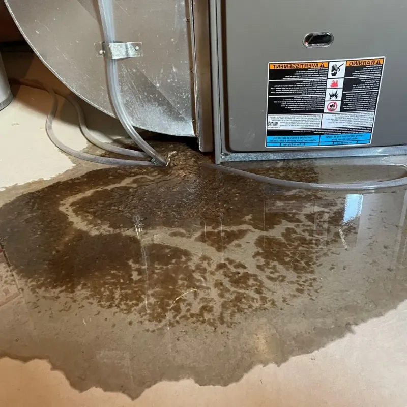 Pipe Burst and Leak Restoration in Readfield, ME